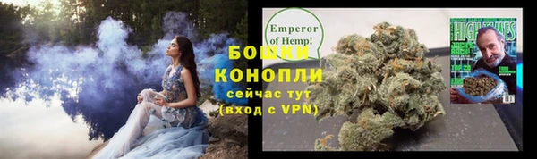 spice Новозыбков