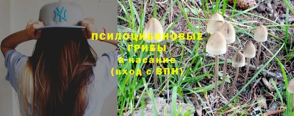 прущая мука Бородино