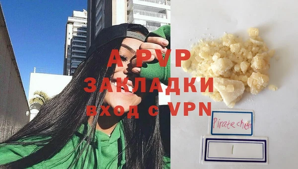 дмт Богданович