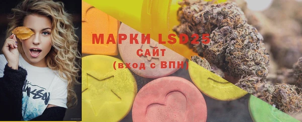 прущая мука Бородино