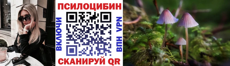 KRAKEN сайт купить цена Горячий Ключ сайты даркнета телеграм Псилоцибиновые грибы Magic Shrooms